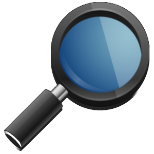 Check Disaster.apk 14.0