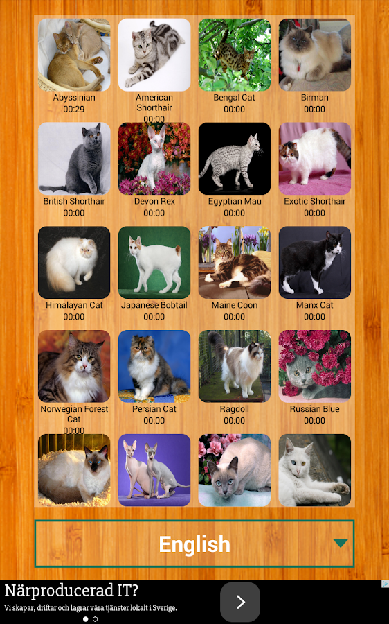 Best Cat Puzzle Games Free Android Apps on Google Play