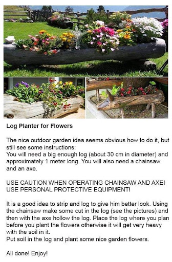 【免費生活App】DIY Garden Ideas-APP點子