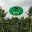 Bombay Presidency Golf Club Download on Windows