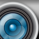 Pictura logo