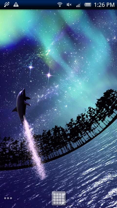Dolphin Star Screen 2