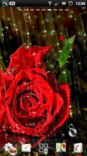 How to get rose live wallpapers 1.0.2 mod apk for pc