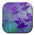 Rain Drop n Flower LWP logo
