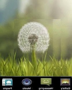 Free Download Flower Live Wallpaper APK for Android
