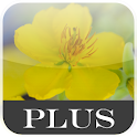 Mai Flower Live Wallpaper + logo