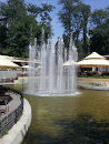 Fountain in Gorkyi Park