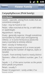 WA Conifers & Wildflowers Keys Screenshots 4