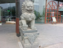 Cute Lion Stone