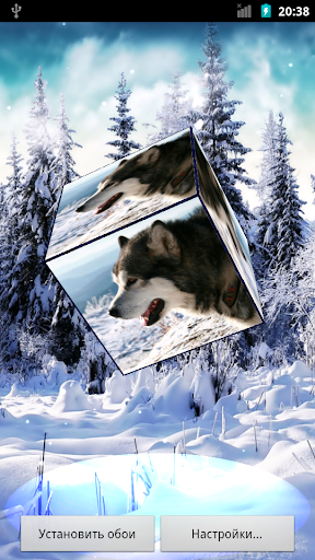 【免費個人化App】Husky 3D Live Wallpaper FREE-APP點子