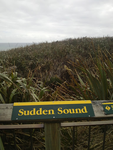 Sudden Sound