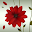A Flower Atom theme Download on Windows