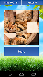 Cats Funny Puzzle poster 4