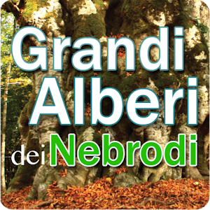 Grandi alberi dei Nebrodi 1.0