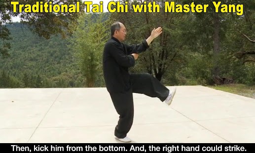 Yang Tai Chi for Beginners 2 3