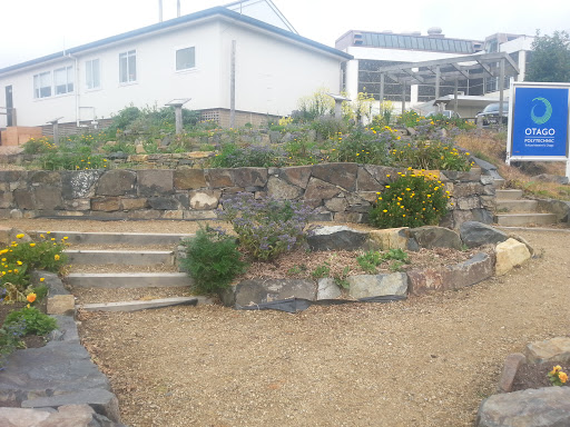 Edible Garden at Otago Polytechnic