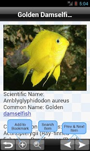 免費下載教育APP|Marine Fish Encyclopedia app開箱文|APP開箱王