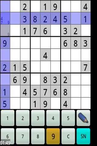 Sudoku Number Puzzle