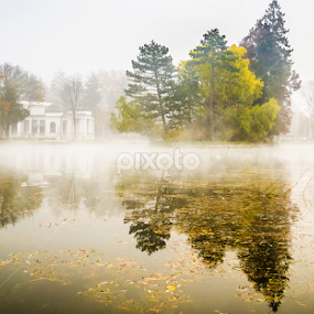 Foggy Morning by Marius Neag - City,  Street & Park City Parks