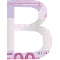 BudgetBuddy Personal logo