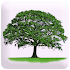 Know Yourself Personality Test3.8