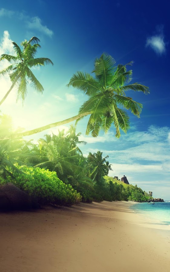 Tropical Beach Live Wallpaper- screenshot