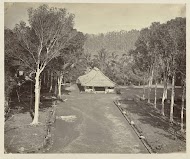 Laan naar de Borobudur