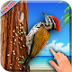 3D Woodpecker Live Wallpaper APK