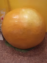 Huge Orange