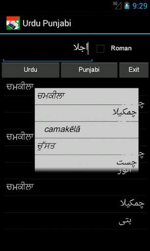 Urdu Punjabi Dictionary
