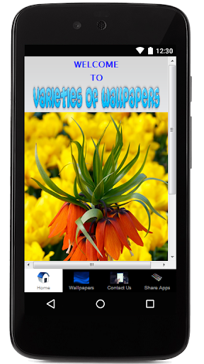 Varities of Wallpapers