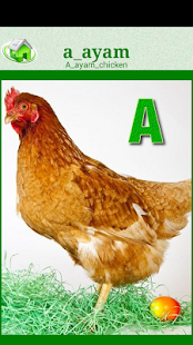 Free Download Flashcards Malay Lesson APK for PC