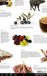 Segni Etruschi poster 4