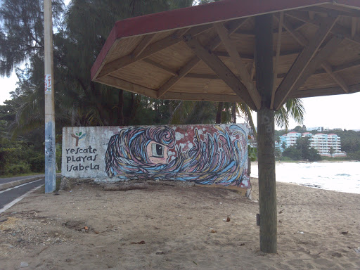 Rescate Playas Isabela Mural