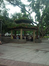 QY.Sun yet-san park-pavilion with moss