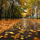 Autumn Sidewalk Live Wallpaper