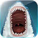 Dangerous Shark Bite