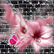 Pink Butterfly and Flower Live