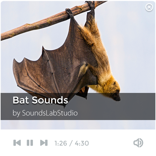 Bat Sounds 音樂 App LOGO-APP開箱王