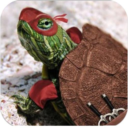 Slot Ninja & Turtle 休閒 App LOGO-APP開箱王