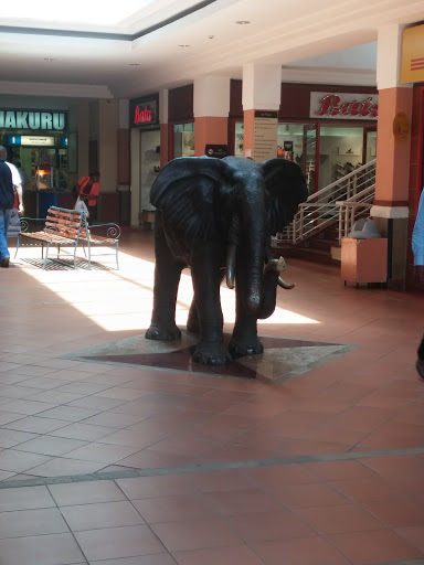 Nakuru Elephant