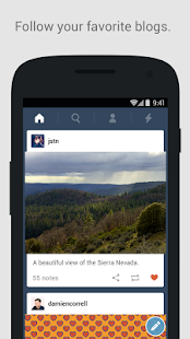 Tumblr - screenshot thumbnail