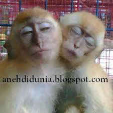 YXHFBIFMikICia1IHgLcT8Eh5k5uwvcmVitJQ6oqdQhv3yDXCnWbMK4rYvscUIVoL-4w9G88WznT5-YHseplMjxpLGM