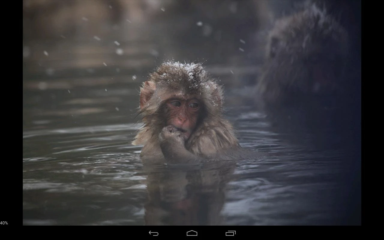   RawDroid Pro- tangkapan layar 