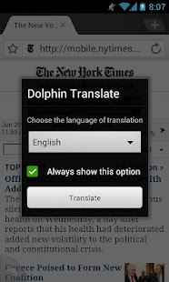 Dolphin Translate