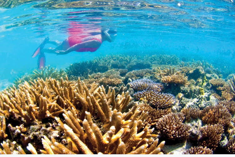 Exsquisite coral reefs await you when you sail to Micronesia with Silver Discoverer. 
