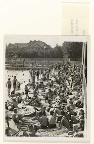 Verfrissing in het zwembad