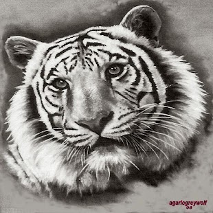 Tattoo Designs V8 Screenshots 6