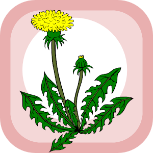 Home herbal 2.1