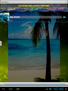 How to install Nature Relaxing Sounds lastet apk for laptop